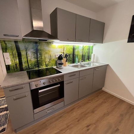 Modernes 4Er Apartment In Skilift-Naehe Zell am See Ngoại thất bức ảnh