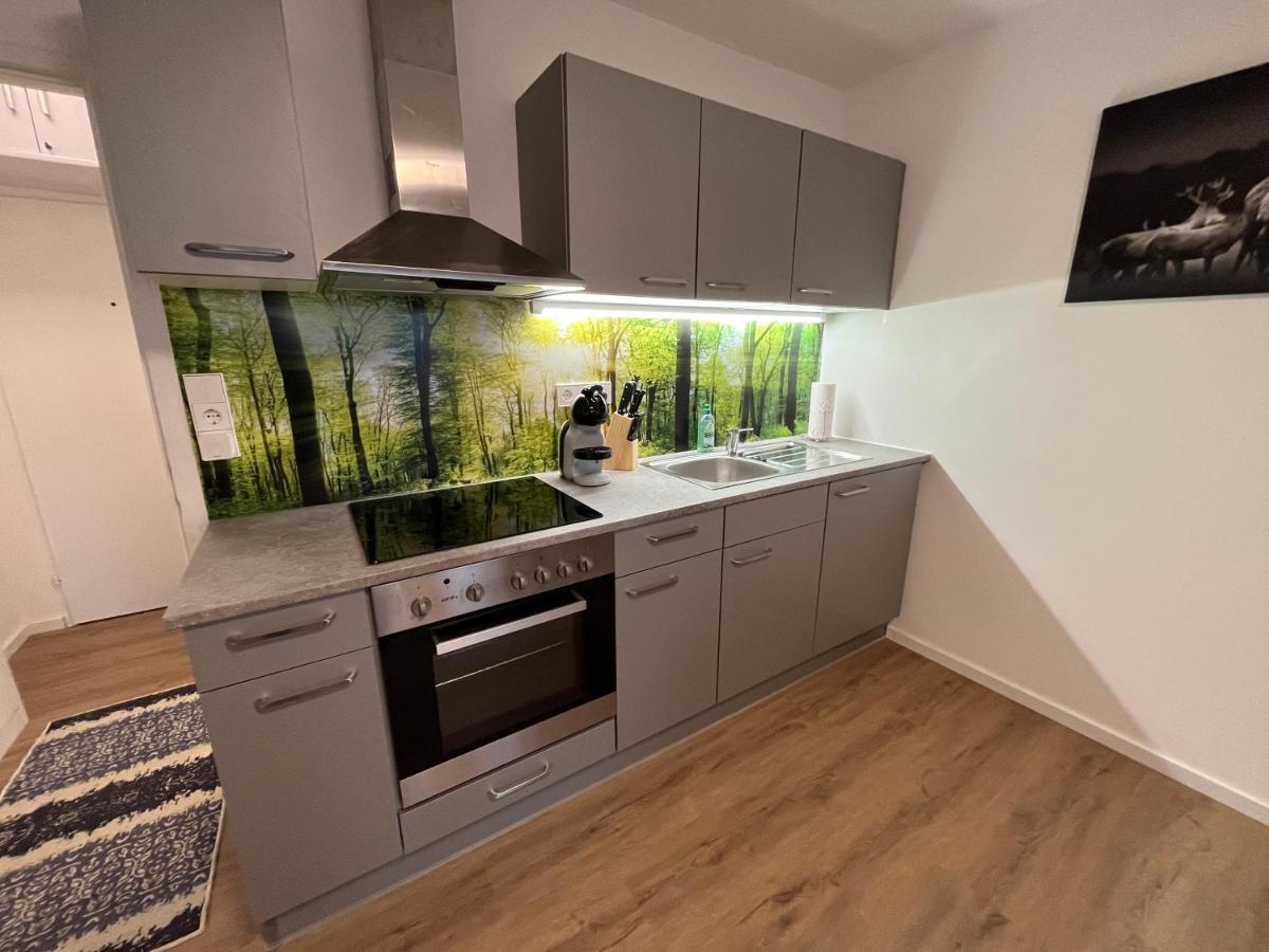 Modernes 4Er Apartment In Skilift-Naehe Zell am See Ngoại thất bức ảnh